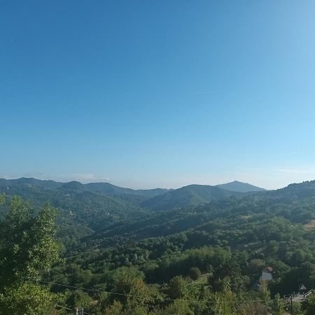 Appartamento La Pineta It010-058C20-Tj54093 Serra Rocco エクステリア 写真