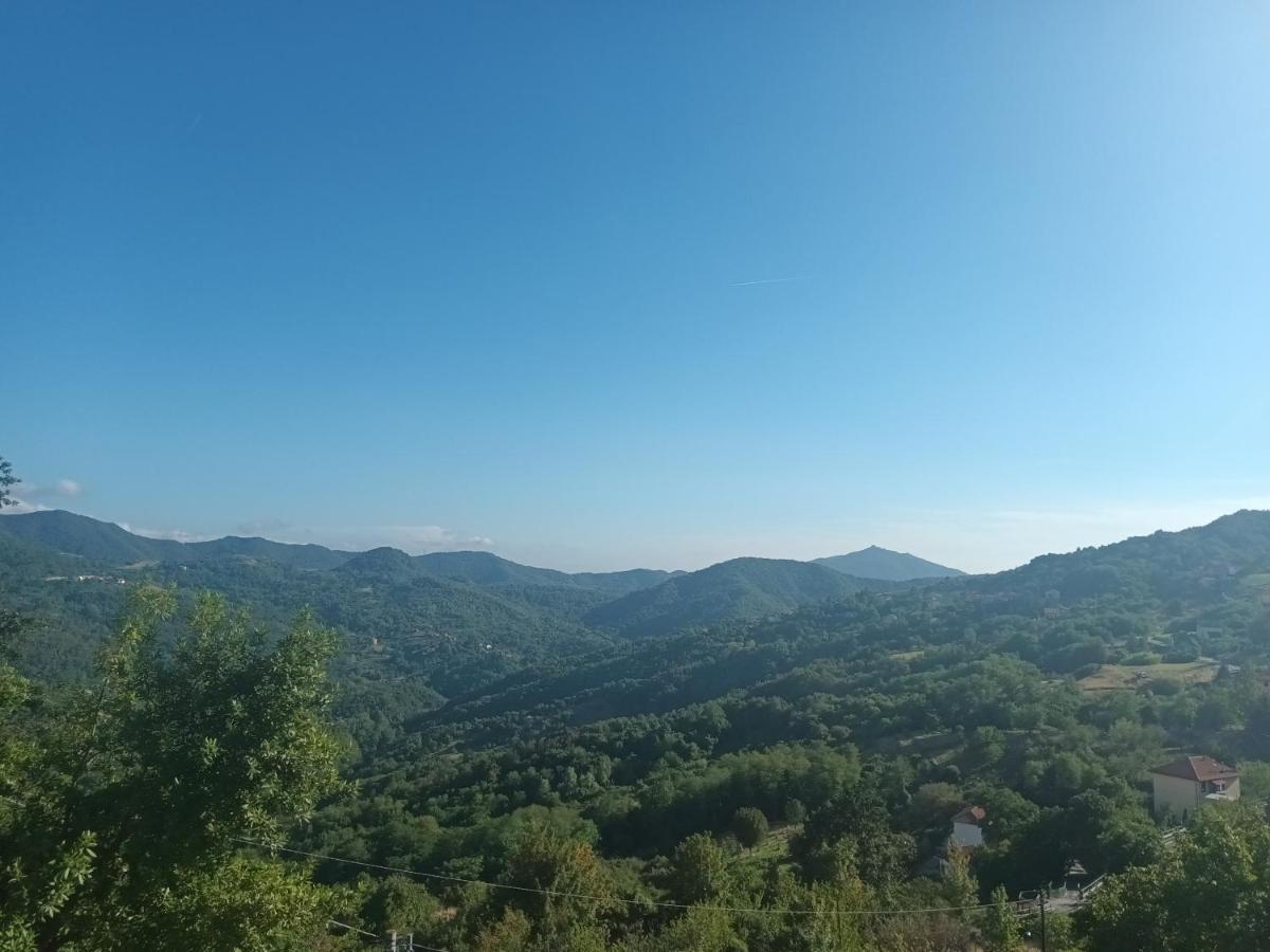 Appartamento La Pineta It010-058C20-Tj54093 Serra Rocco エクステリア 写真